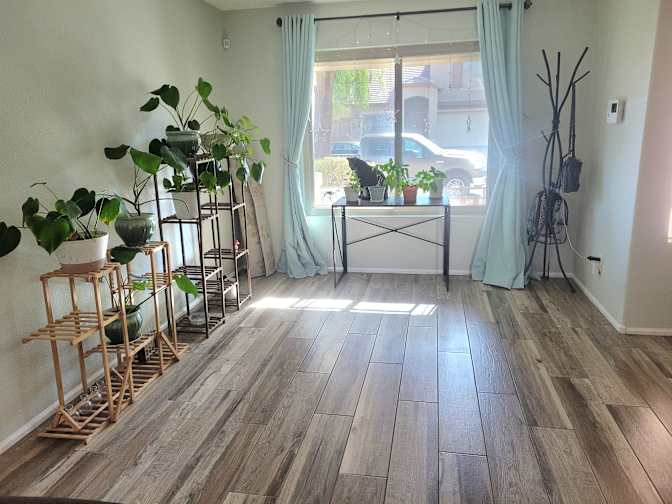 NAOMI's room