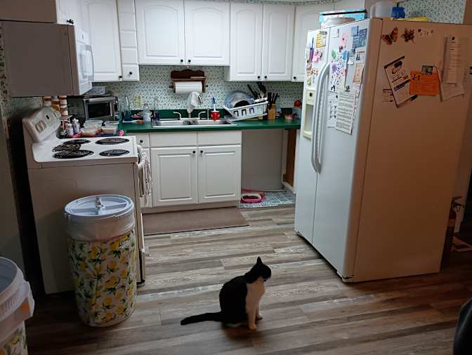 Mark's room