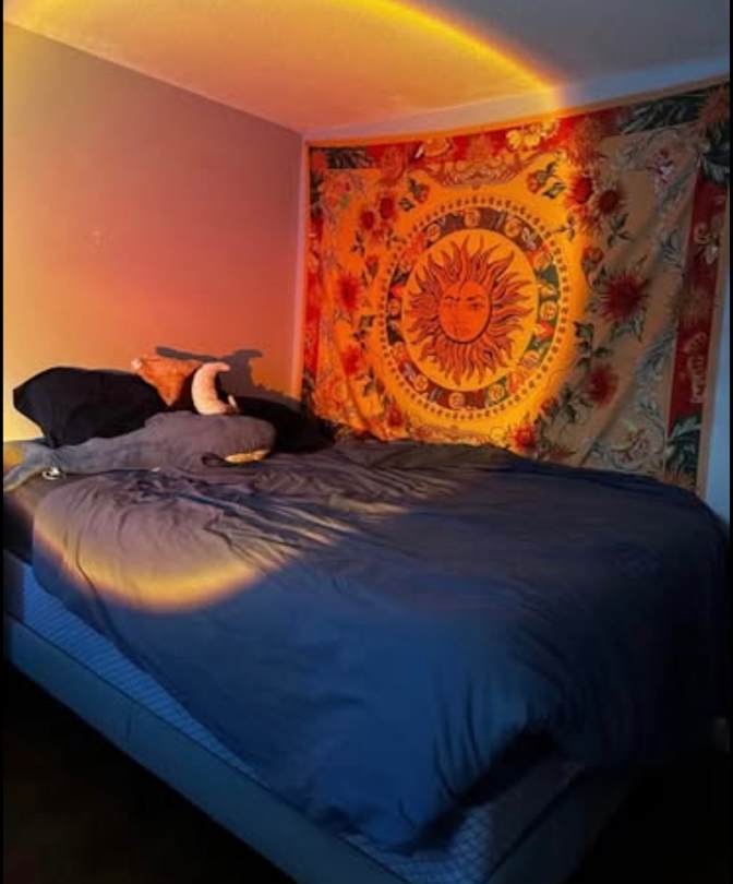 Amy's room