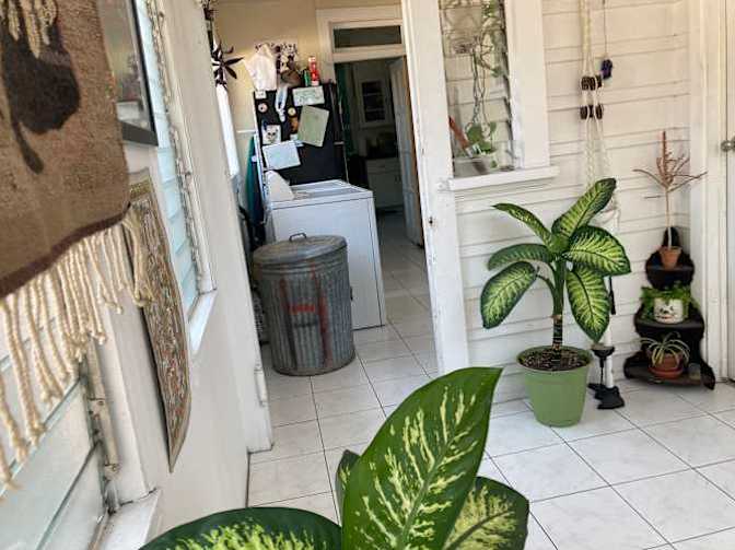 La Pitaya's room