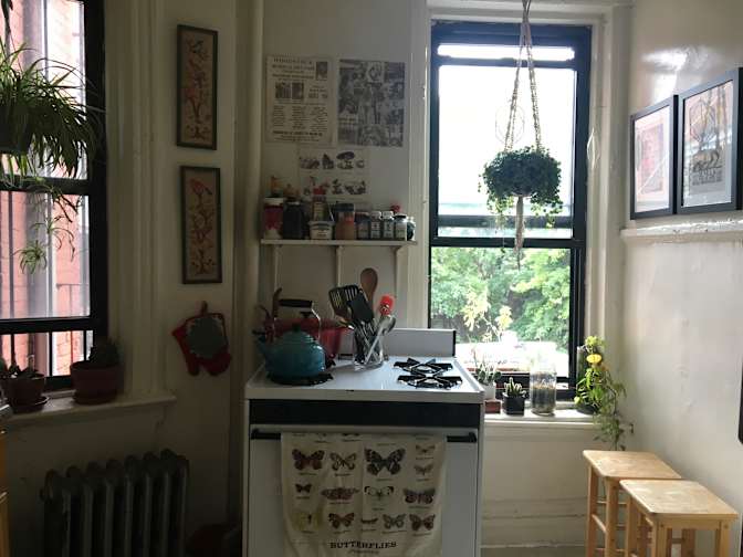Jamie's room