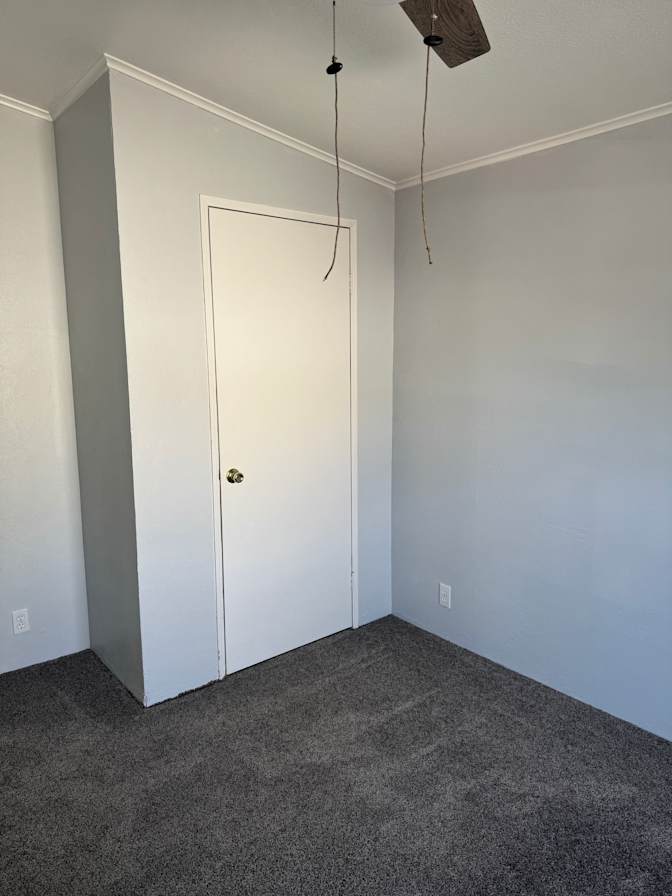 Hayden's room