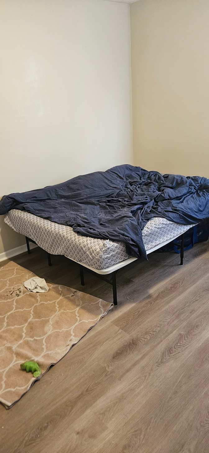 Alicia's room