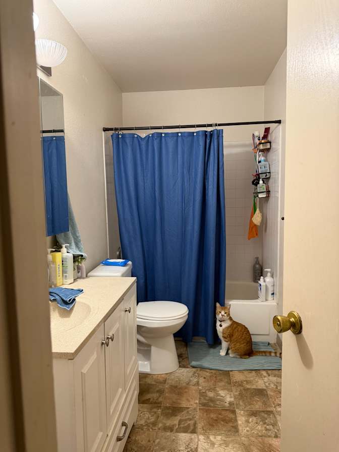 Sara's room