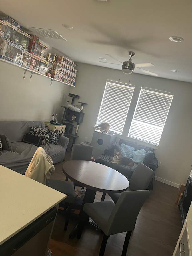 Michael's room