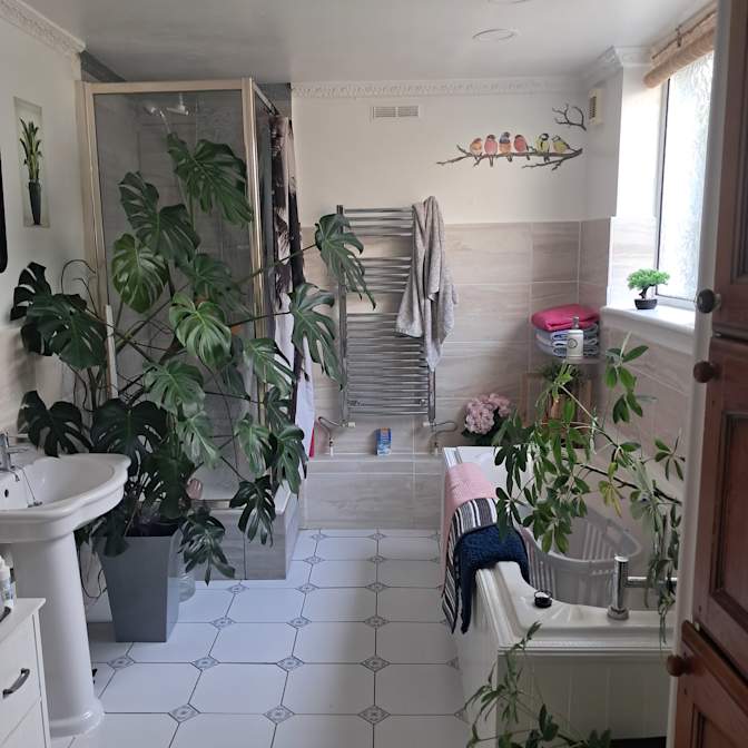 John's room