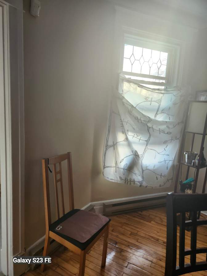 Michele Bechara's room