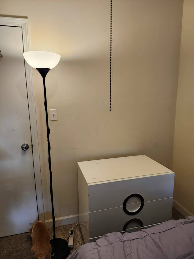 Janice's room