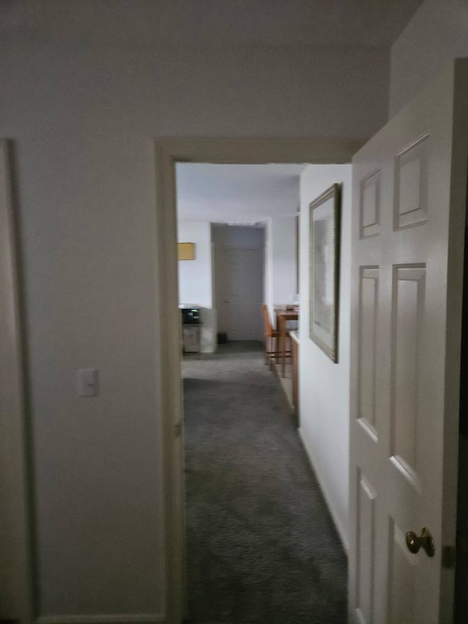 Avi's room