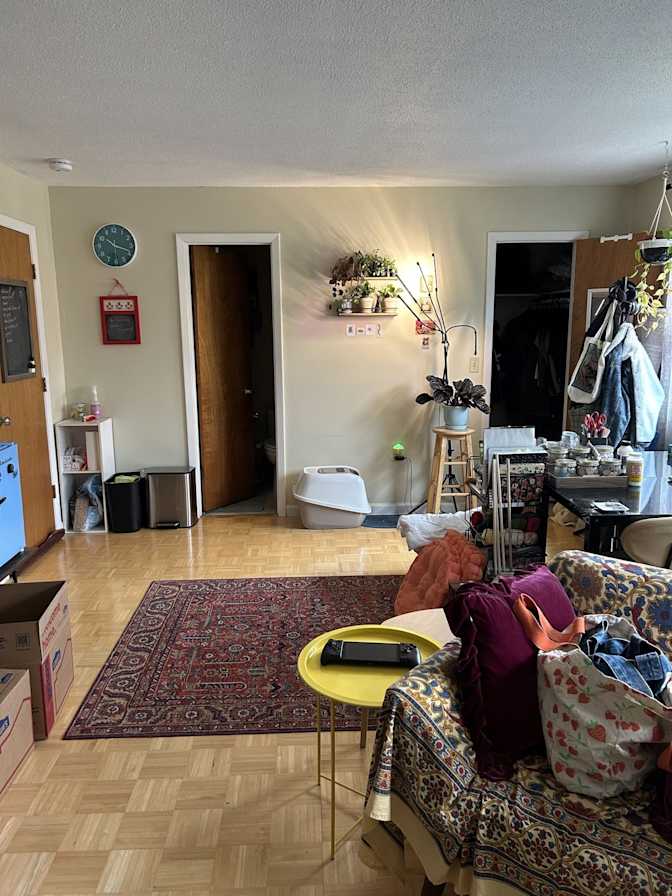 Alina's room