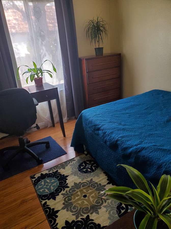 Cindi's room