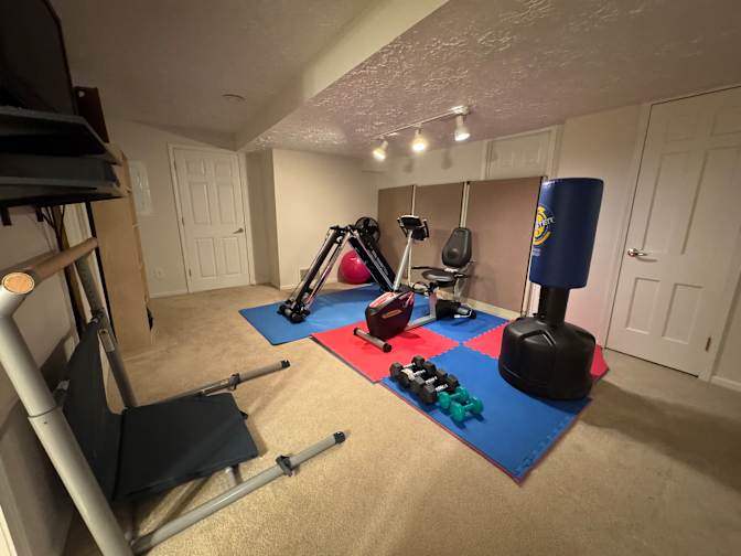 WFH professional's room
