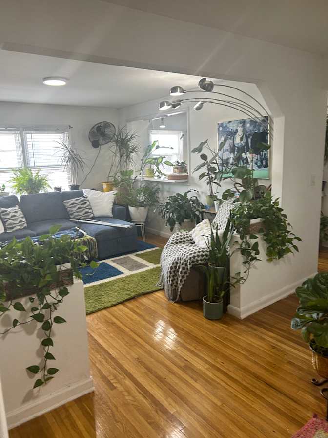 Jacklyn Stephens's room
