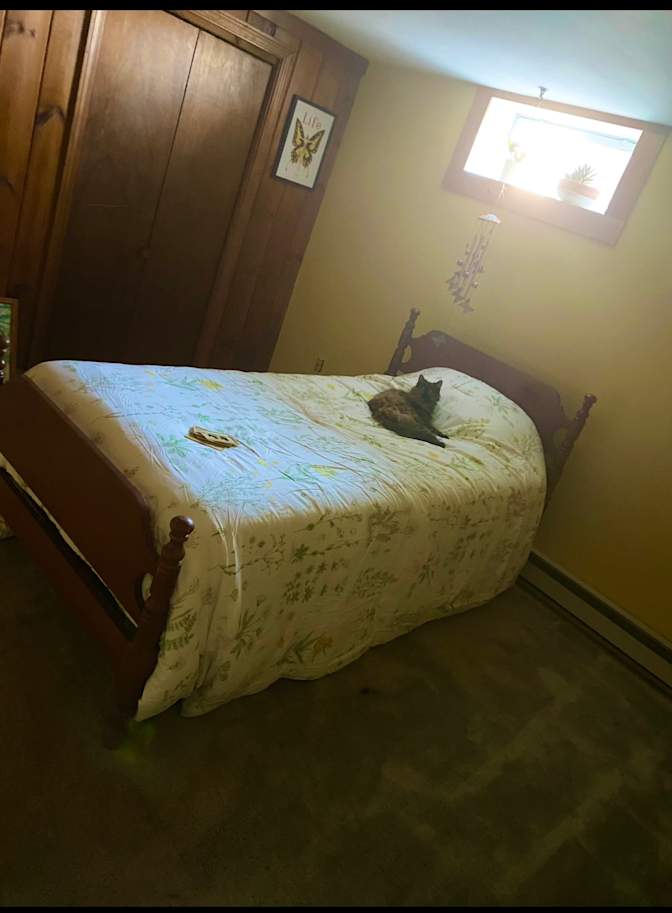 Danyle's room
