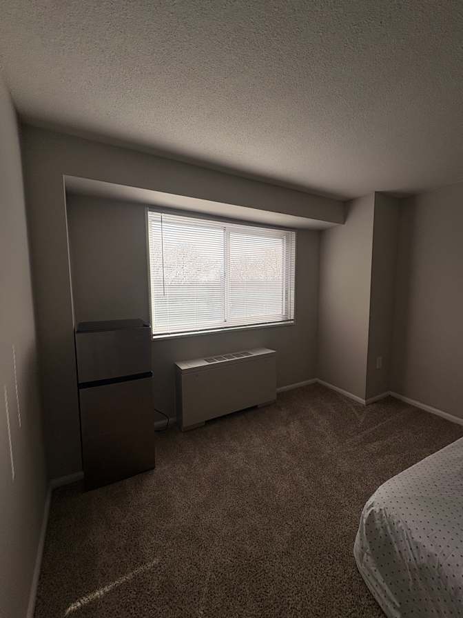Rosa's room