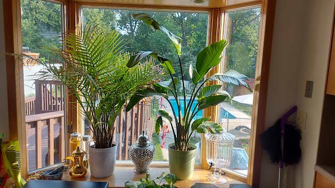 Westwood Poolhouse's room