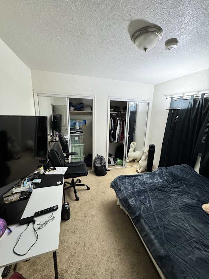 Amelia Foster's room