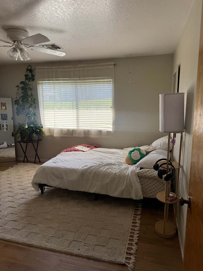 Zoe's room