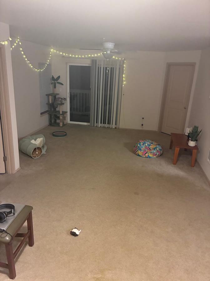 Mona's room