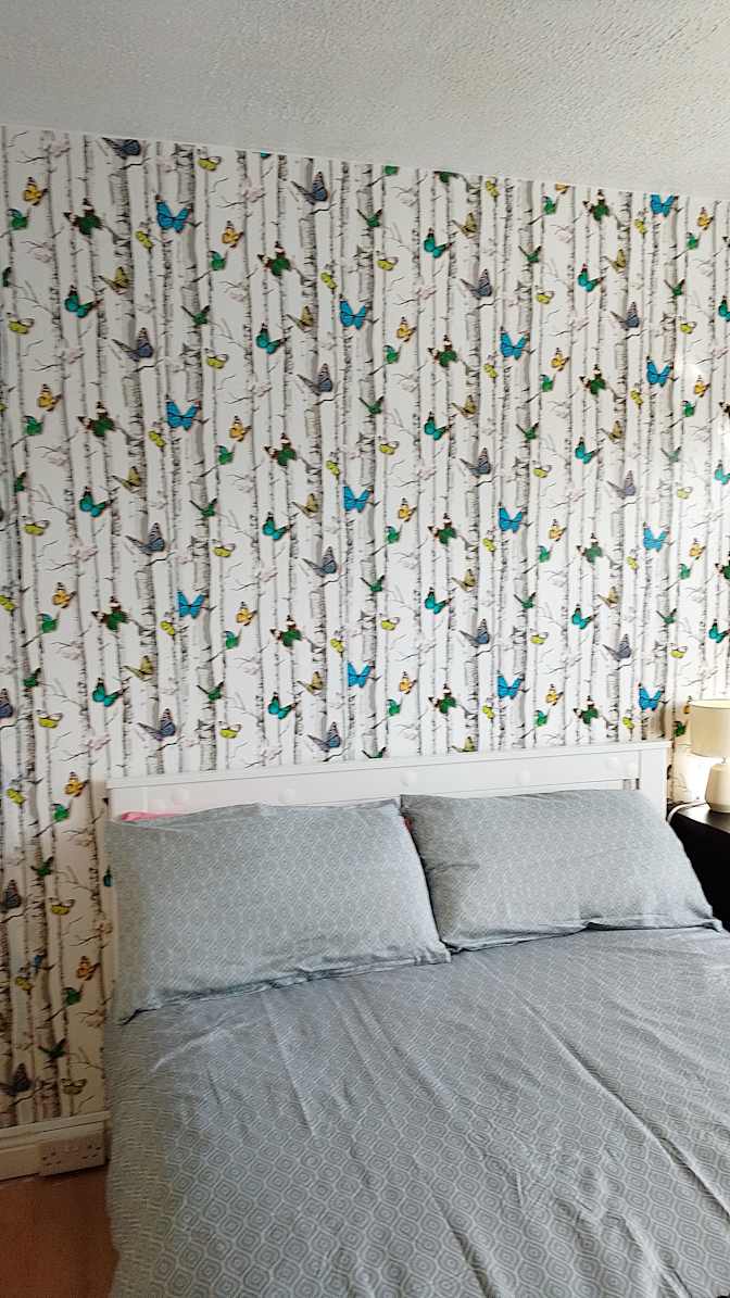 Synthiea Doolan's room