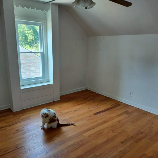 sharon crane's room