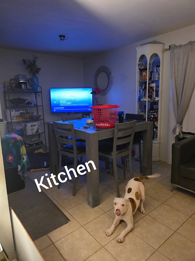 Amy Martinez's room