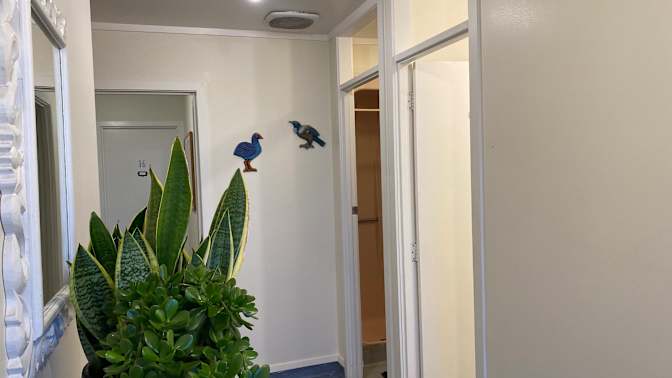 Shared Living NZ's room