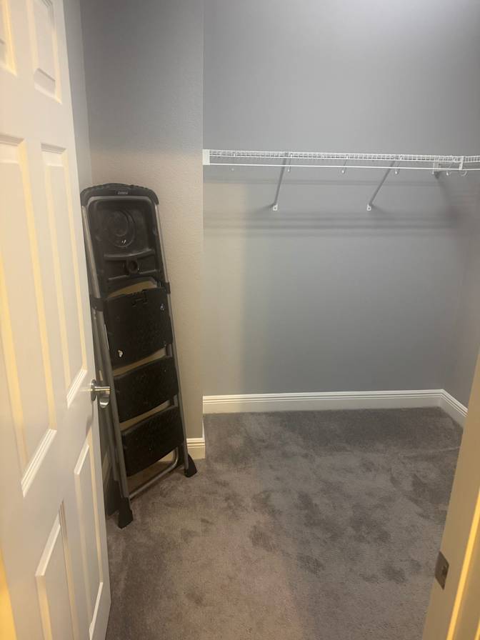 Shawn's room