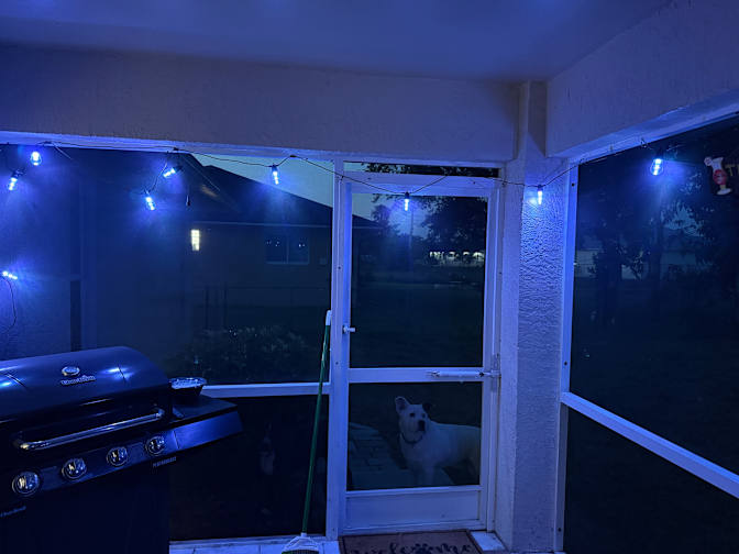 Drew's room
