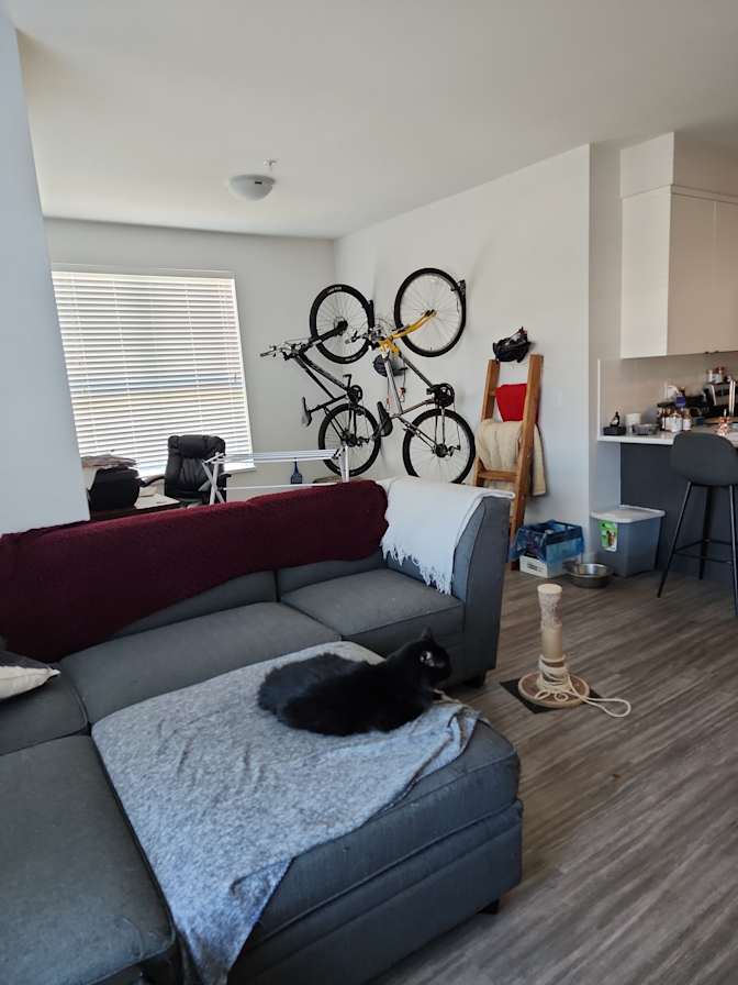 Chad's room