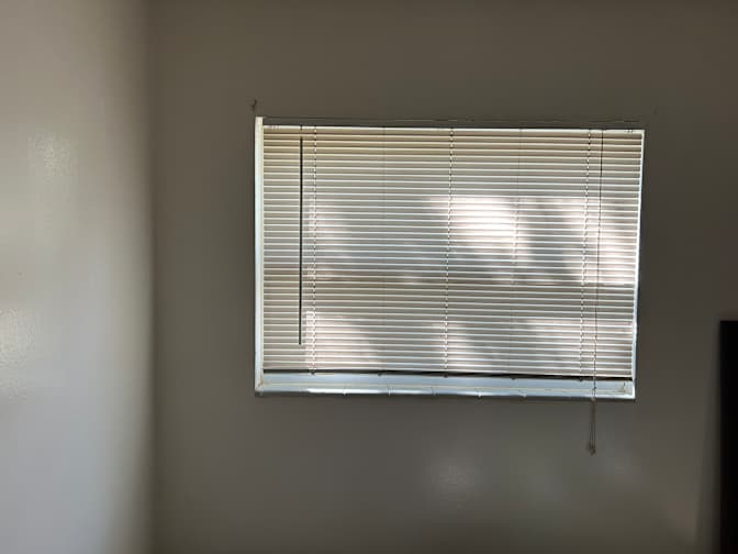 Daniel Brown's room
