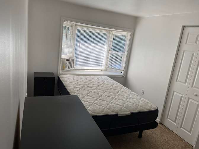 Ziggy's room
