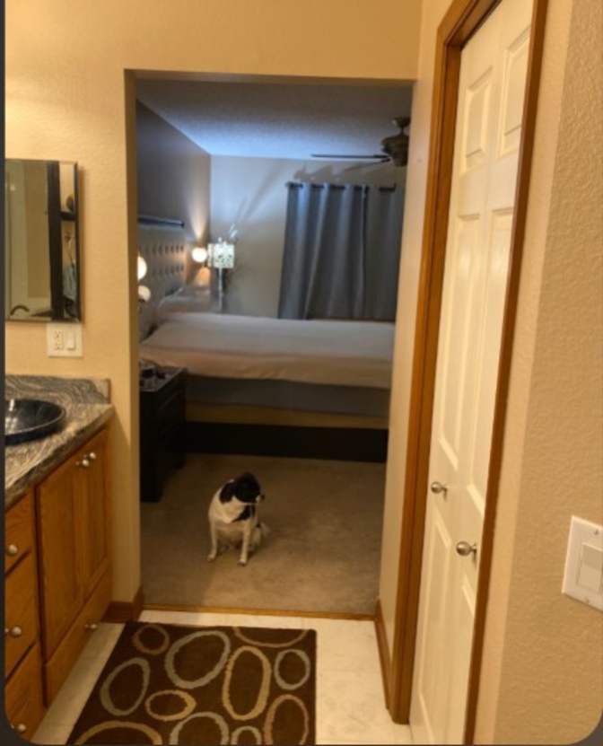 dina's room