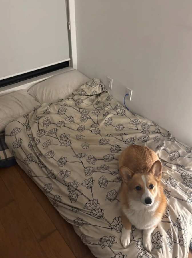 Ryan's room