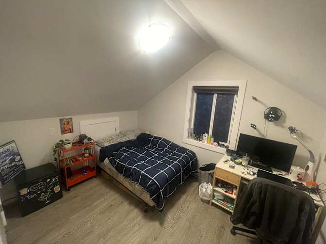 Rex's room