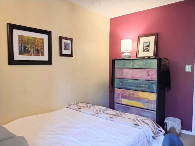 Mary's room