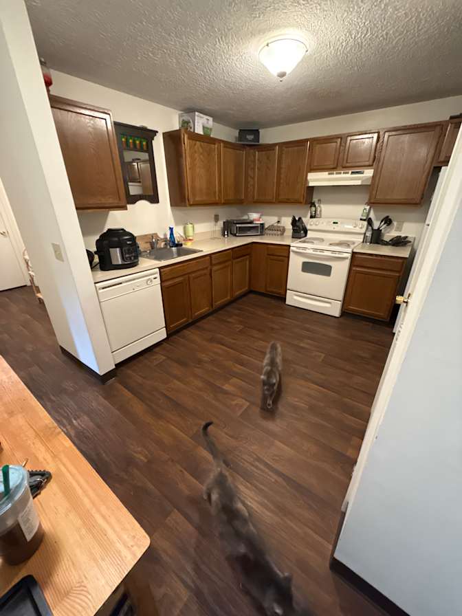 Anthony's room