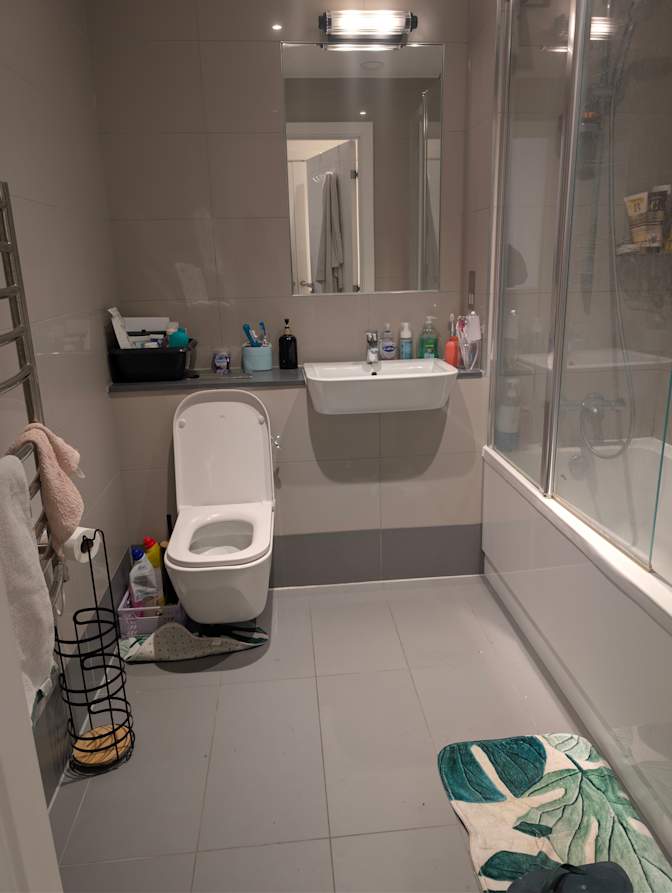 Lady's room