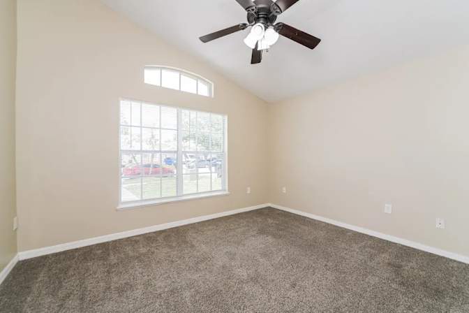 Alexander's room
