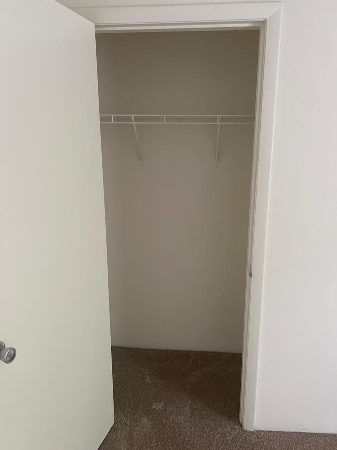 Cecilia's room