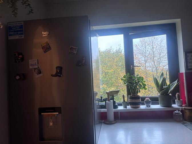 Nin's room
