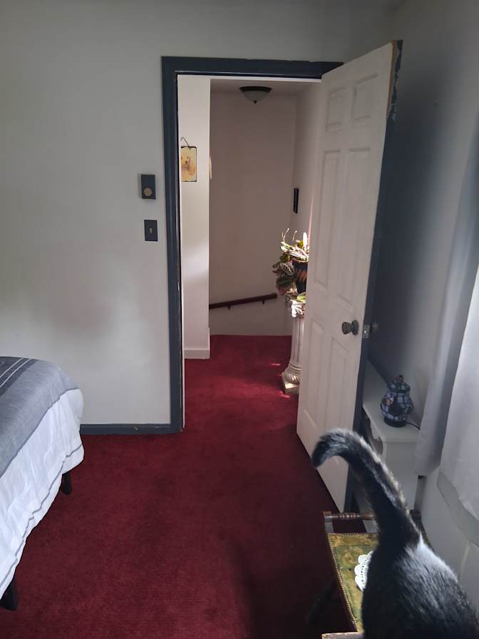 Todd's room