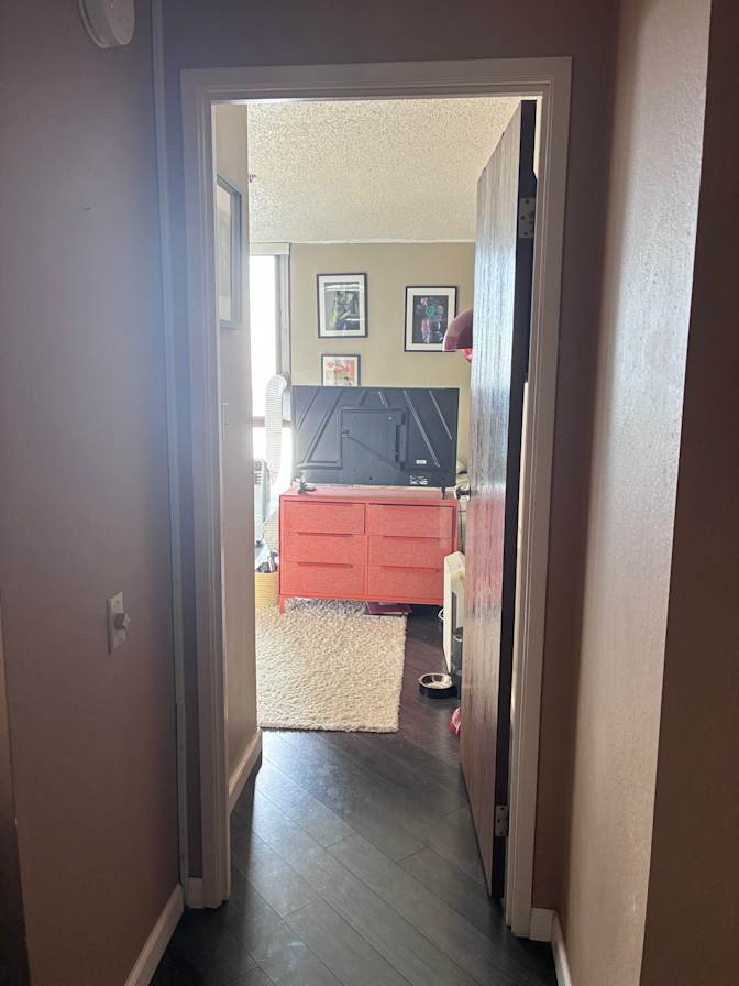 Rachel's room