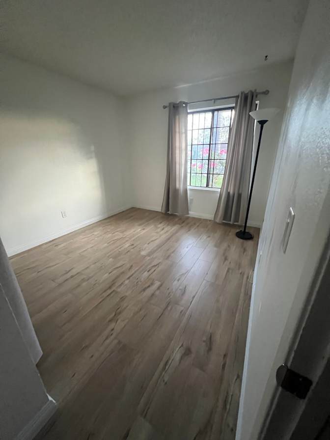Evelyn's room