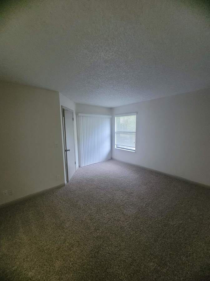 David's room