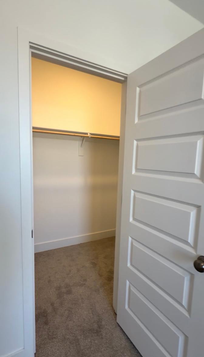 Amruta's room