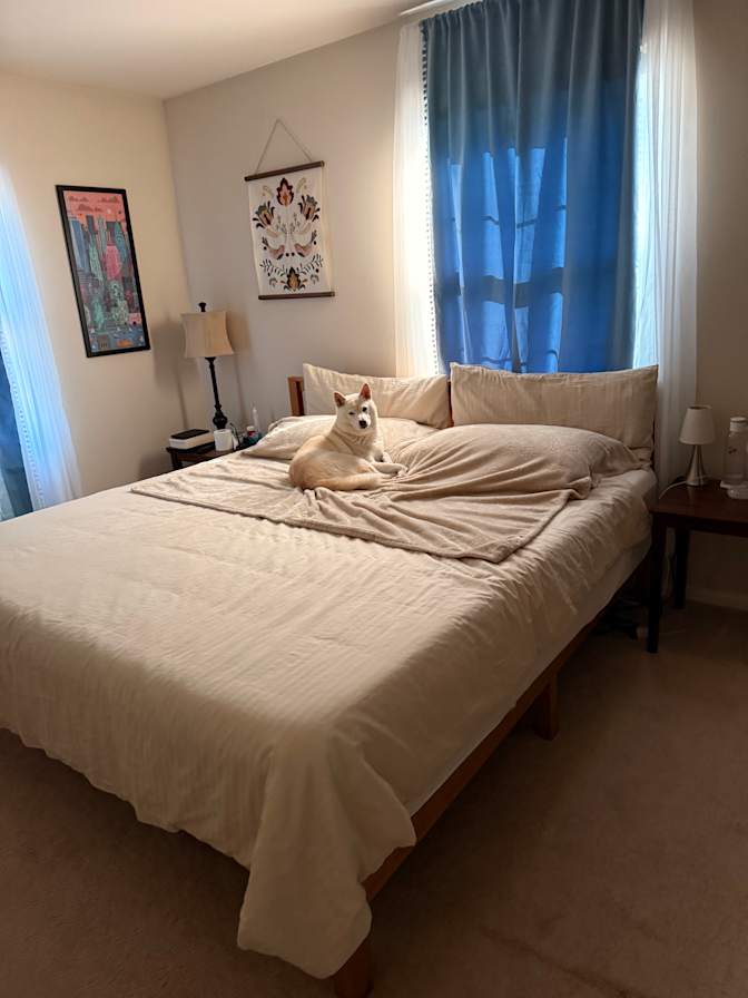 Tania's room