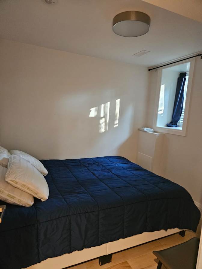 Carlaw Avenue - Photo 2