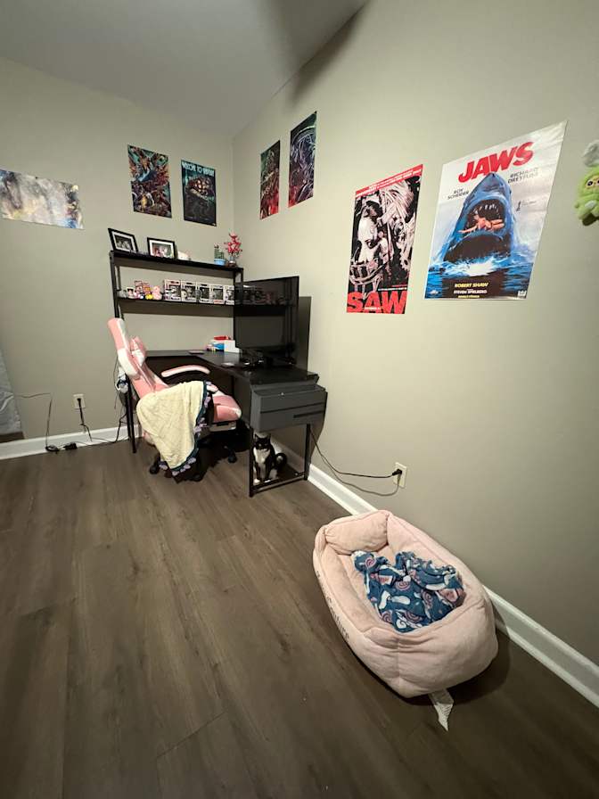 Chanelle's room