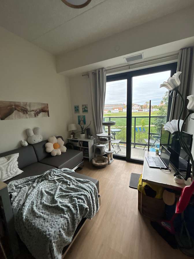 Ylenia's room